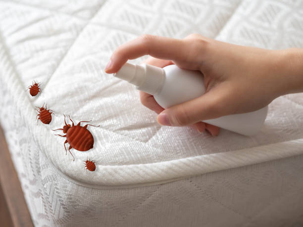 Best Pest Prevention Services  in Bayshore Gardens, FL